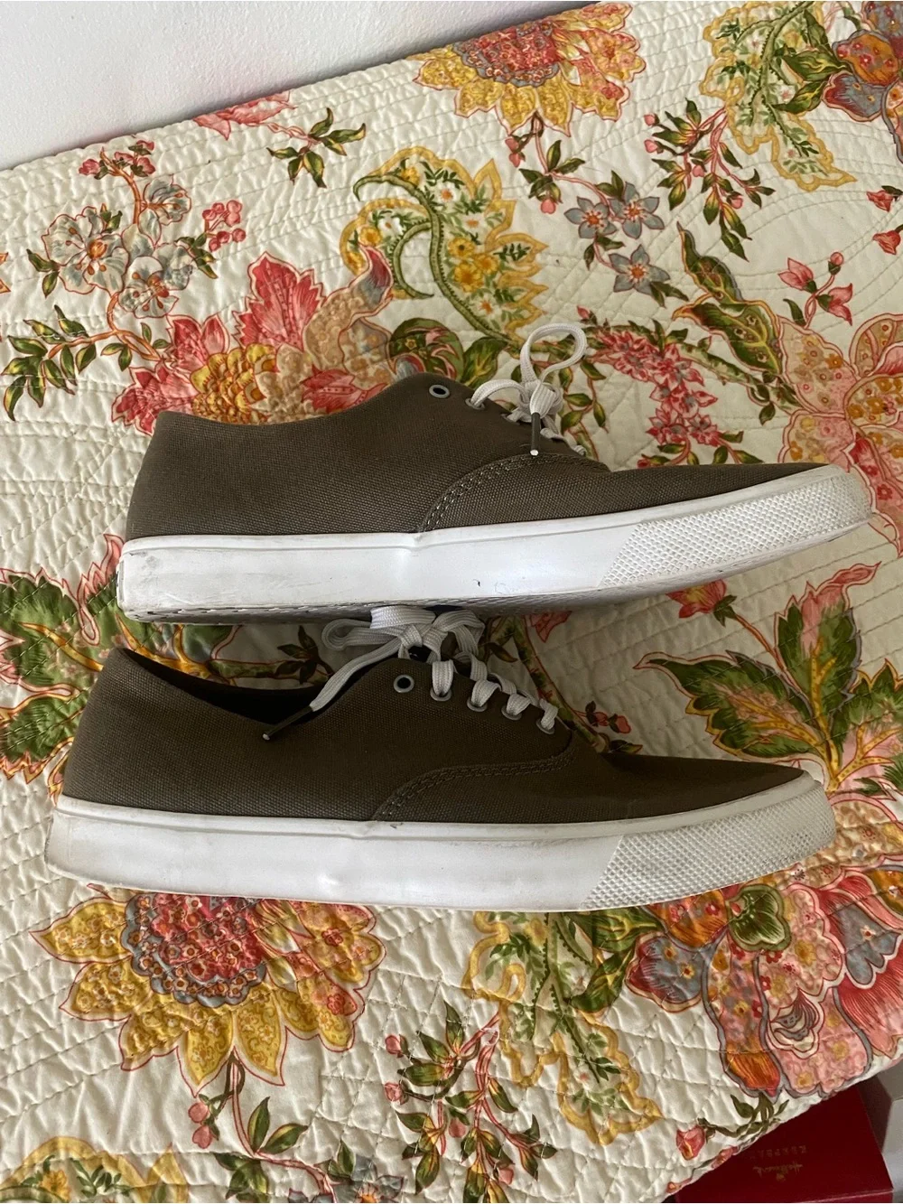 Sperry casual canvas